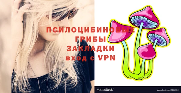 соль ск Аркадак