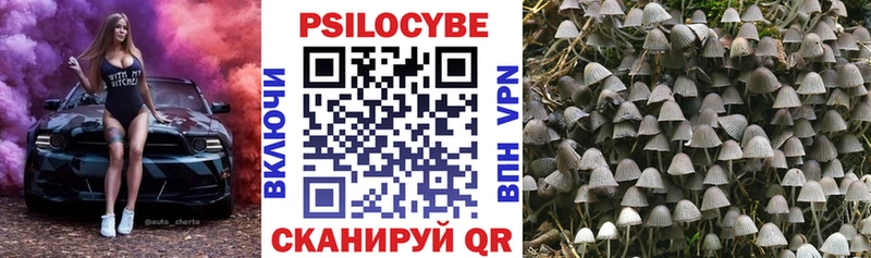Галлюциногенные грибы Magic Shrooms  Купить  Волгоград 